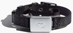 a black whistle health & gps+ collar