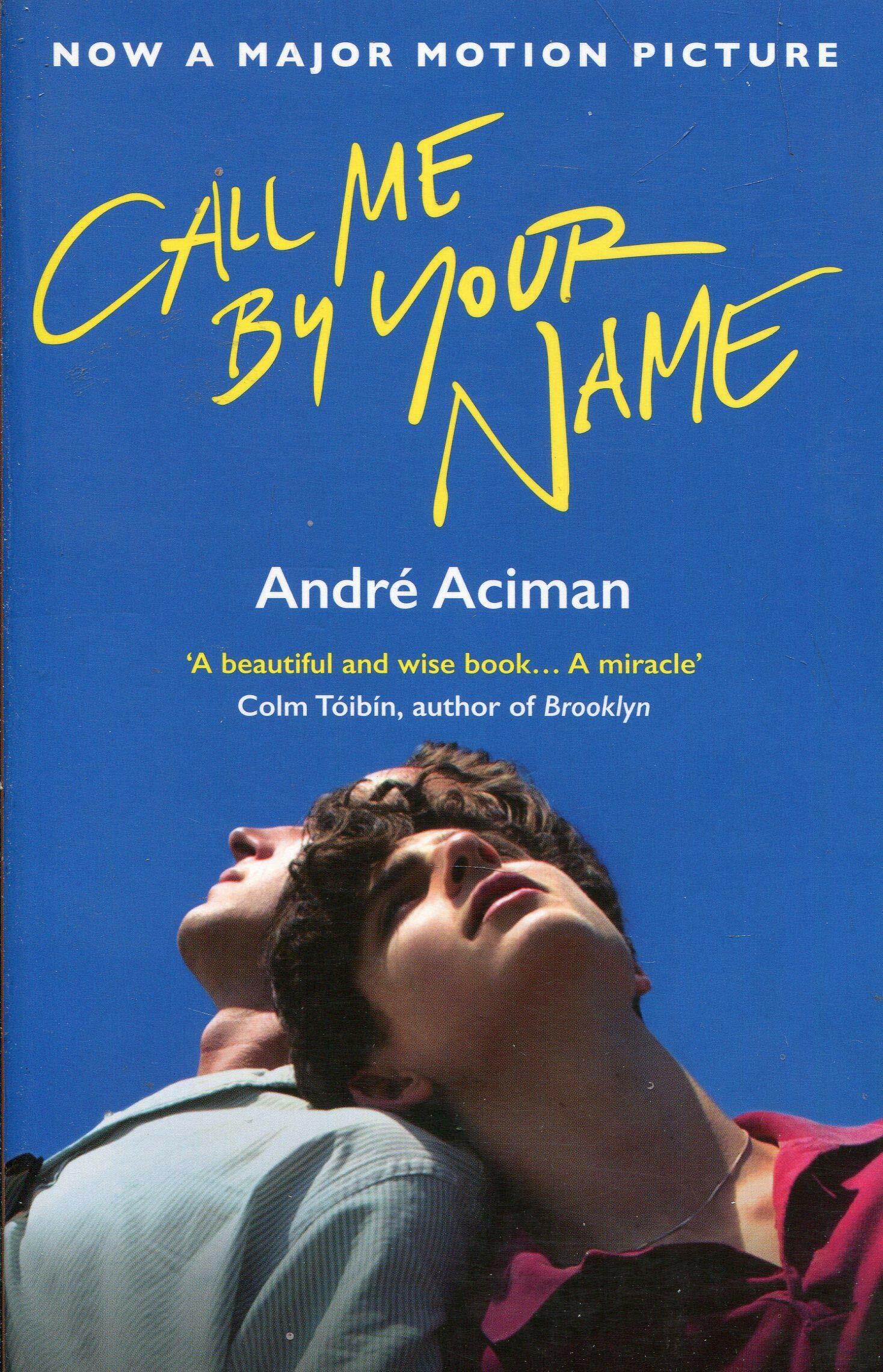 Timothee Chalamet and Armie Hammer lean against each other. The cover of 'Call Me By Your Name'