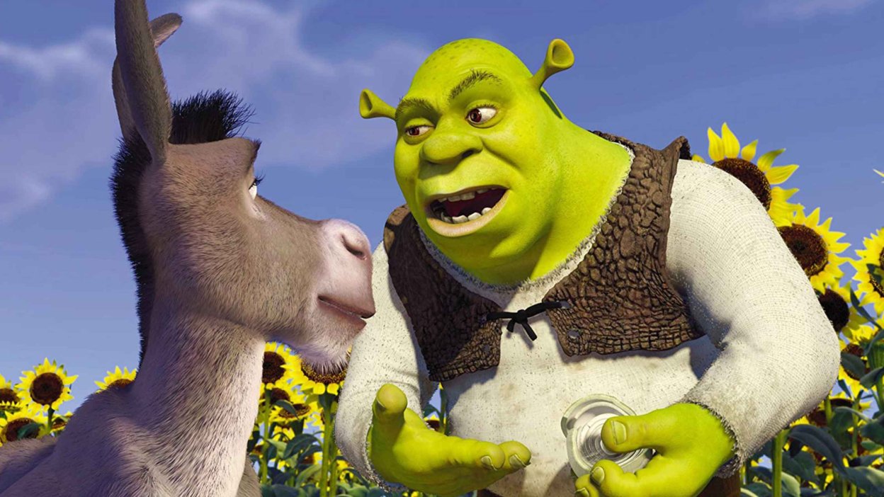 Shrek and Donkey in a sunflower patch