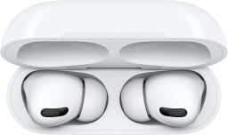 airpods pro in their case