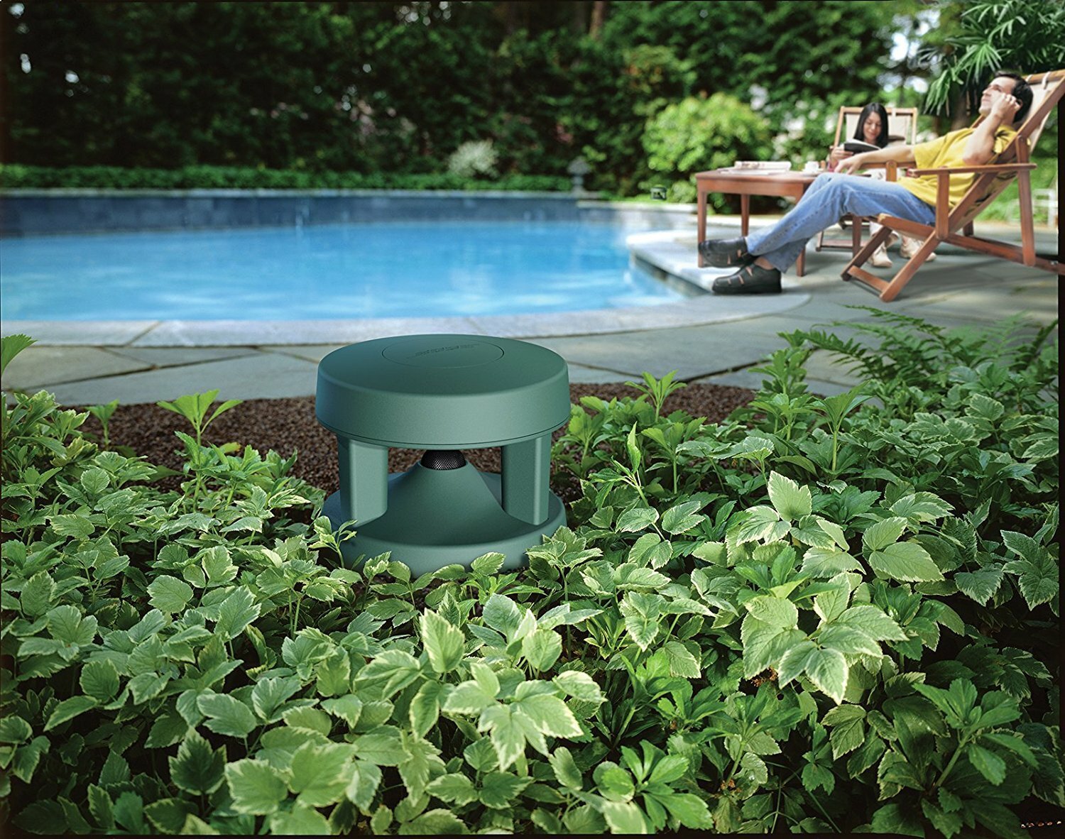 speaker in plants next to person lounging by the pool 