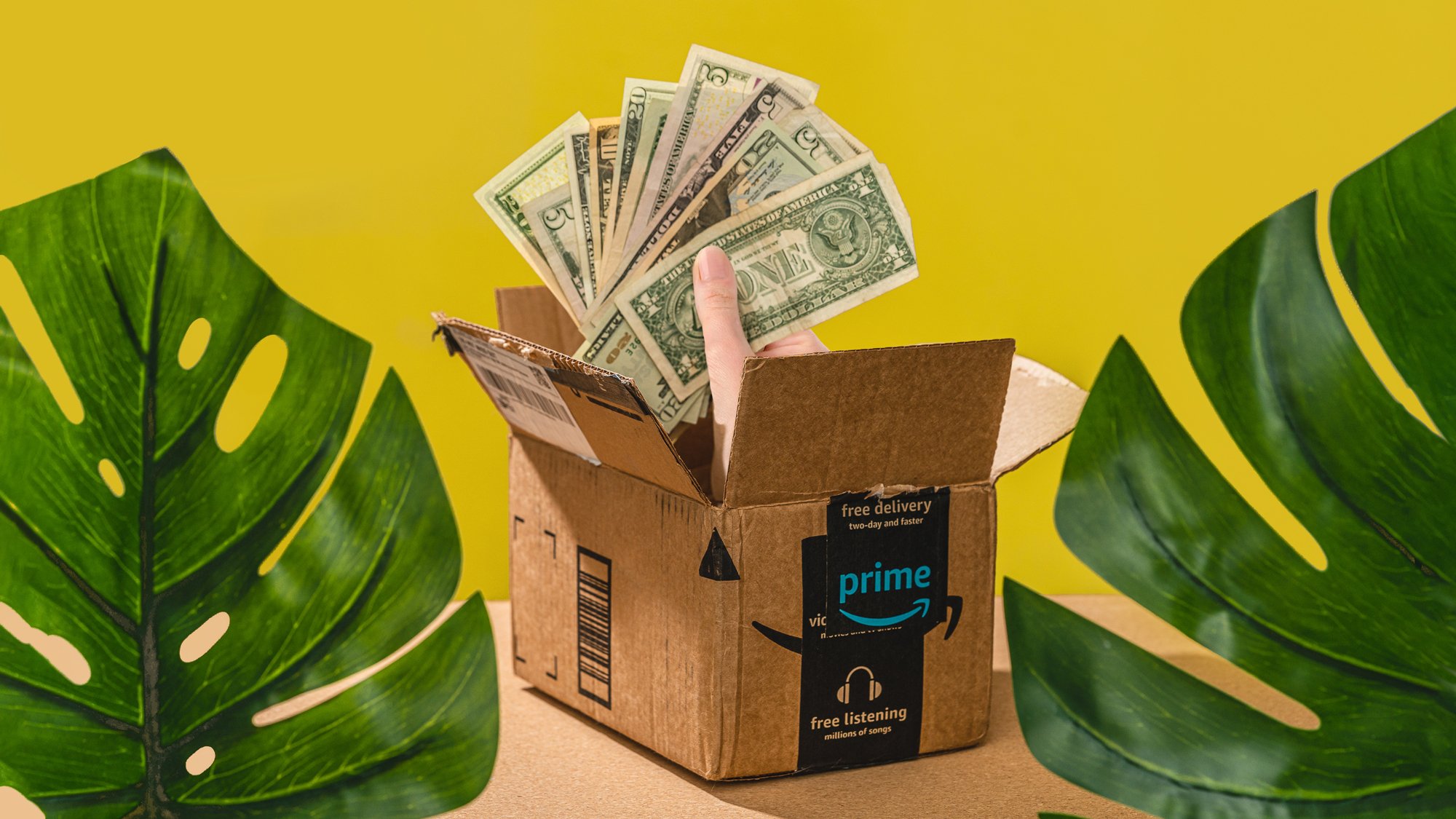 plants and a box with money