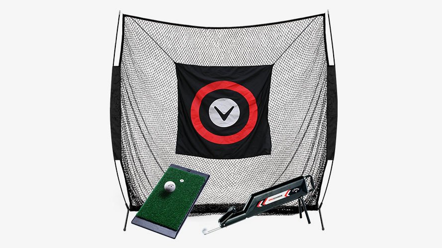 Net with target behind strip of green and ball