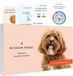 Wisdom Panel dog DNA test
