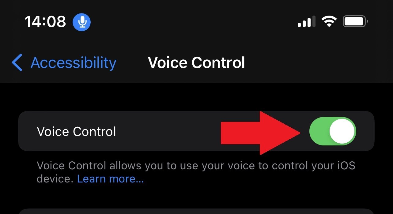screenshot of voice control