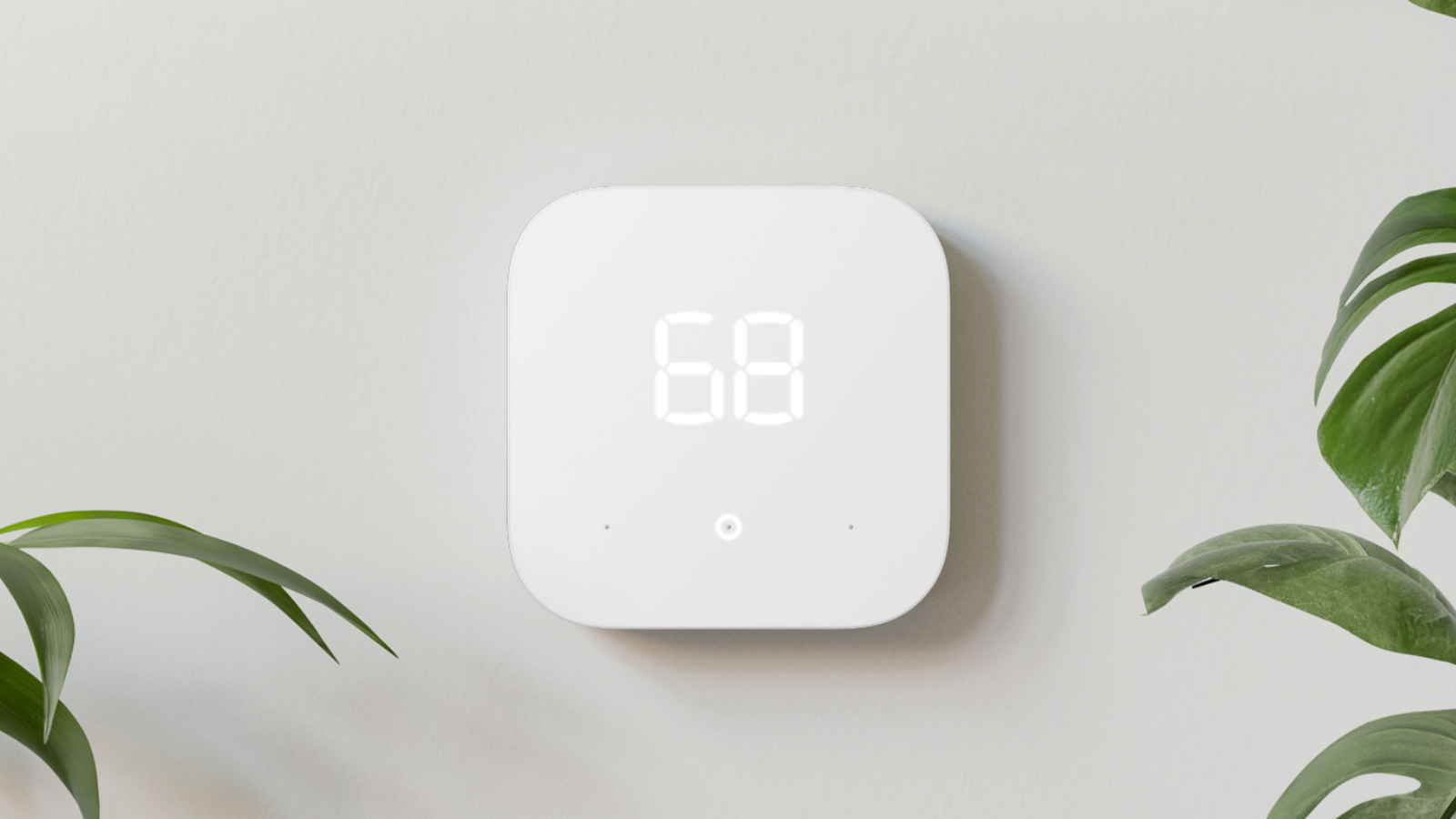 amazon smart thermostat on wall with plants