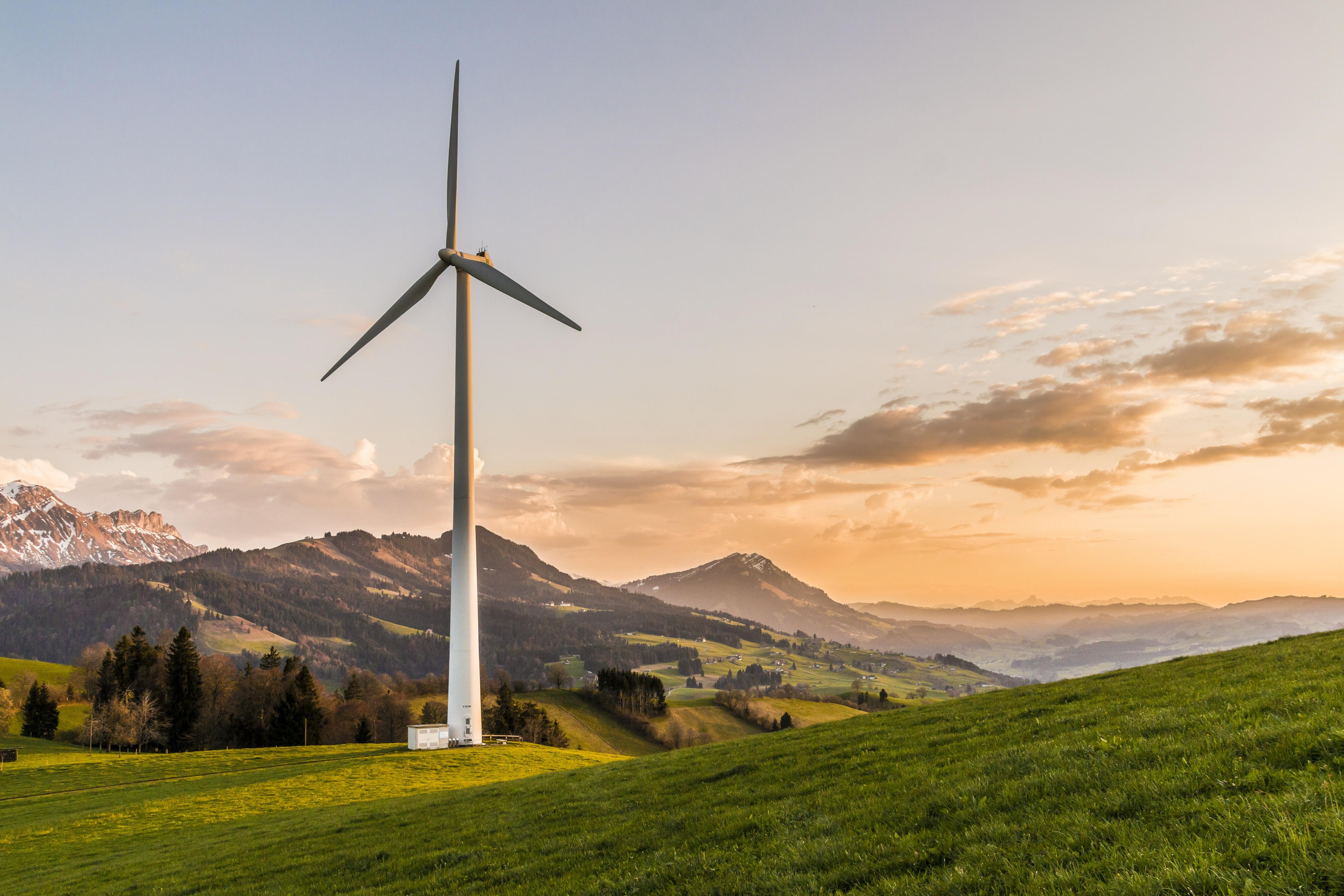Wine turbine