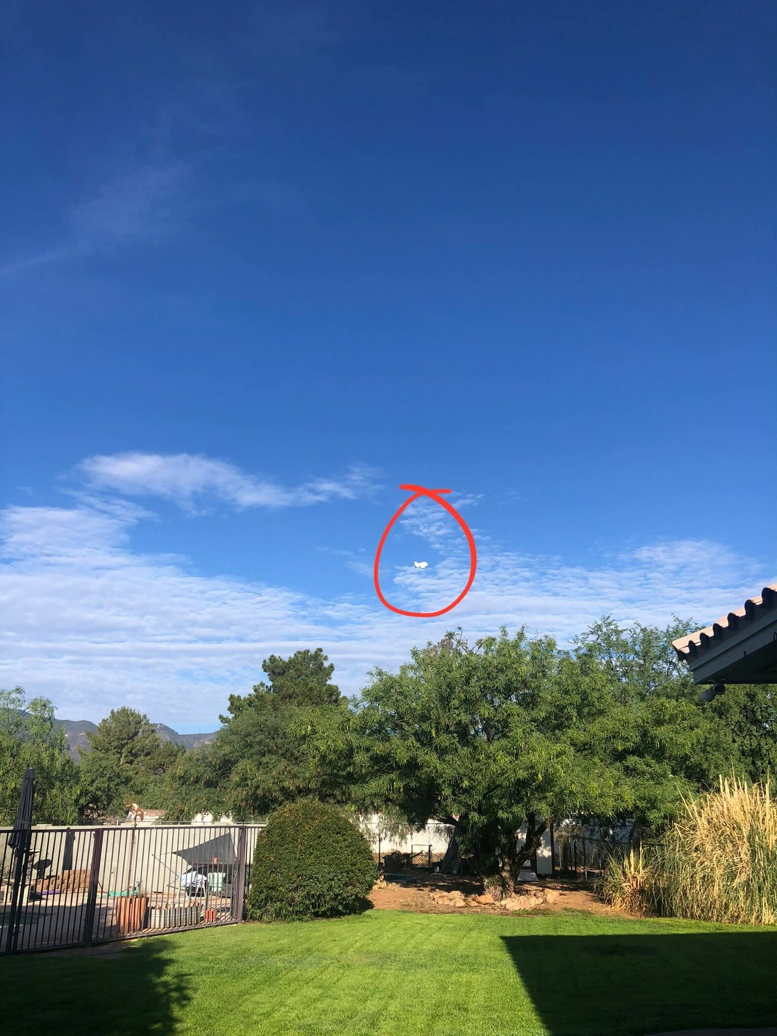 The surveillance blimp (TARS) as seen from my parents' back yard