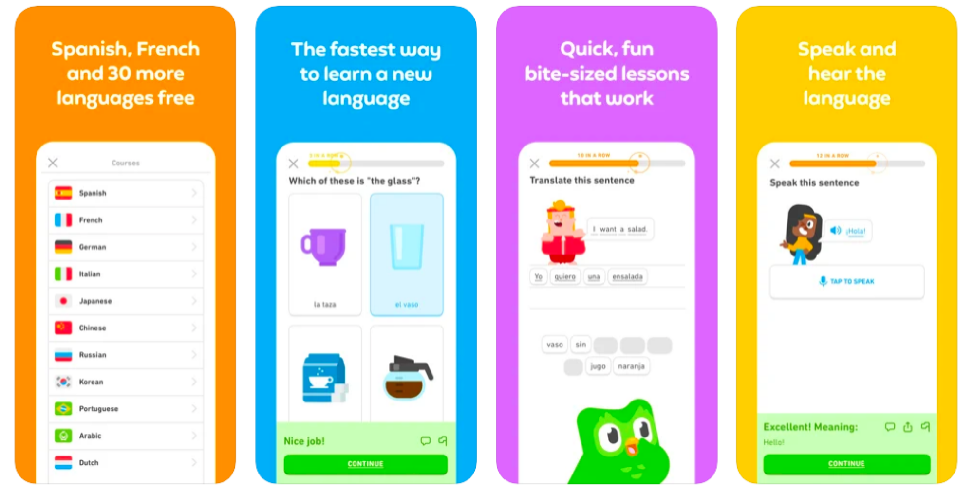 Screenshot of DuoLingo