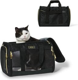 a cat inside of a kenneth cole reaction pet carrier duffel bag