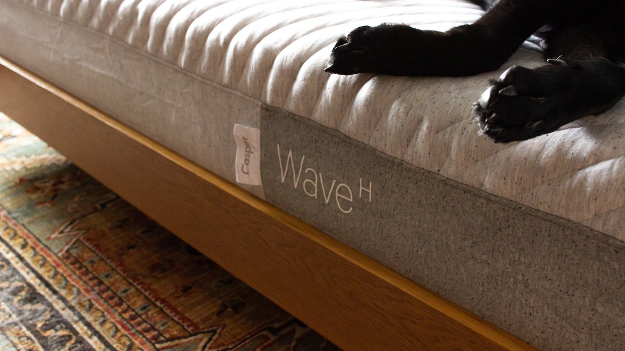Dog laying on Casper Wave Hybrid mattress
