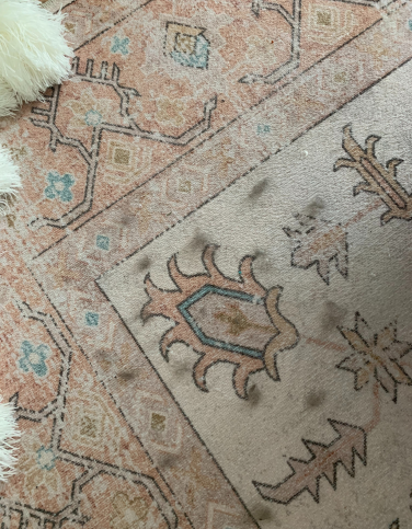 Tufts of cat fur on peach colored rug
