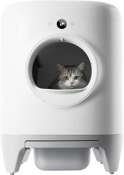 Cat peeking out of a white litter box