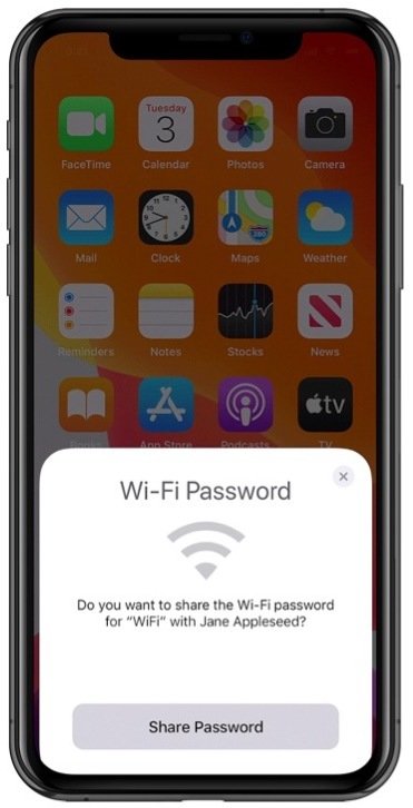 Screenshot of iPhone showing "Share Password" feature