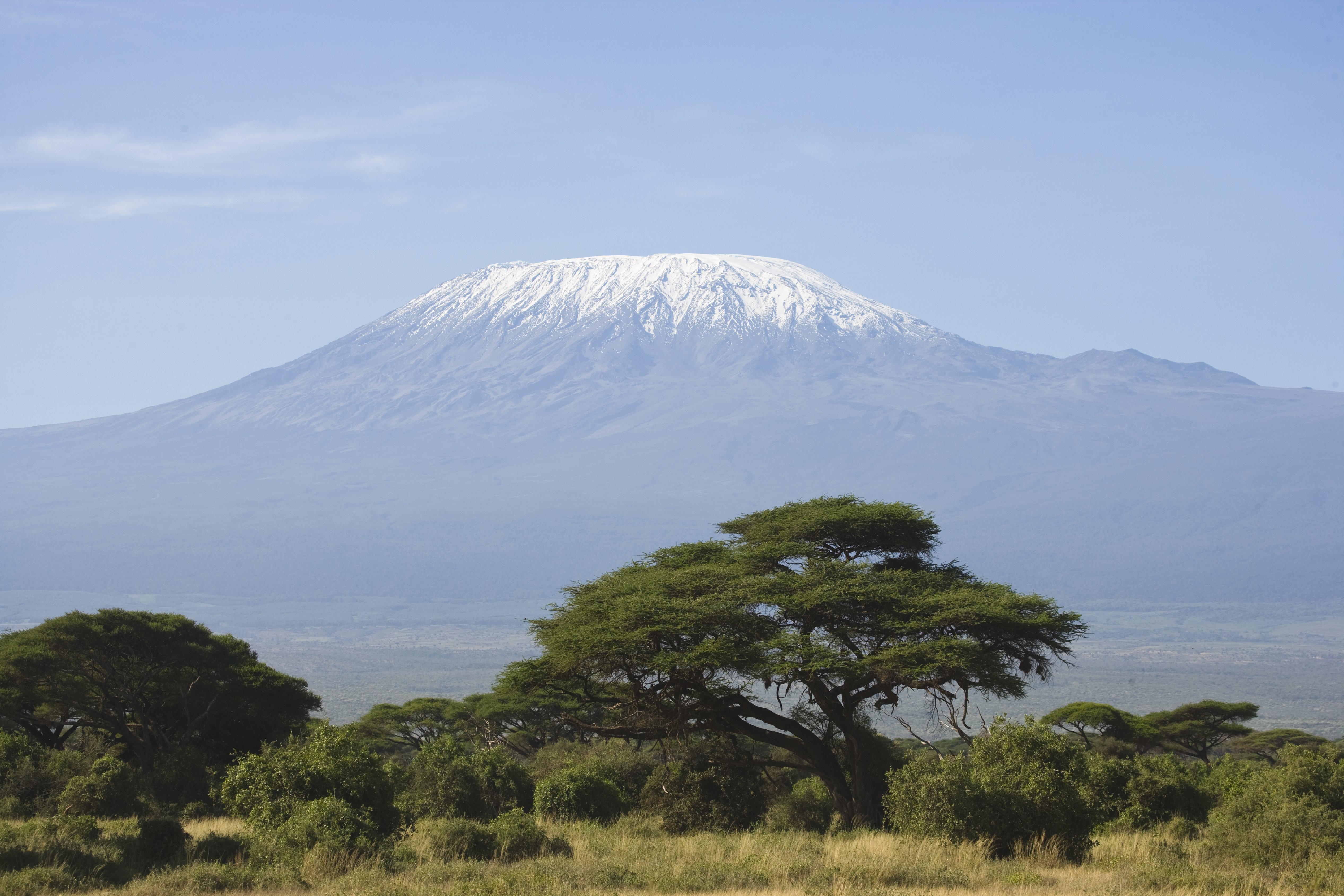 Mt. Kilimanjaro, Savanah in foreground. 