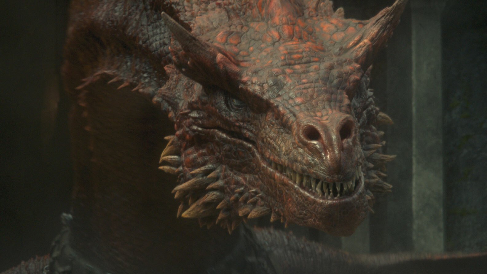 A large dragon stares in the direction of the camera.