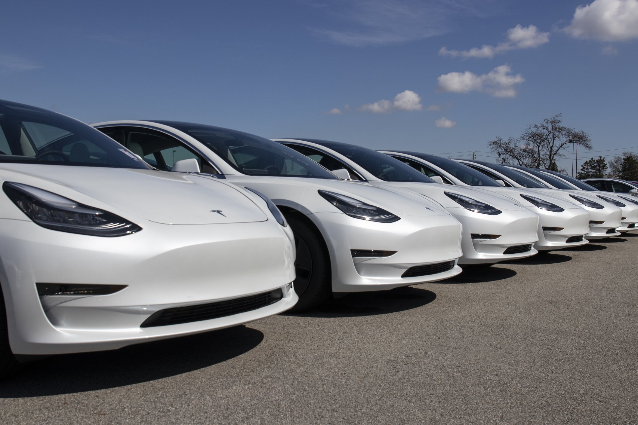 A row of white Tesla Model X cars lined up in a parking lot. 