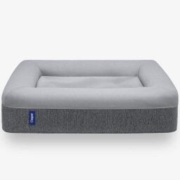 Gray memory foam dog bed