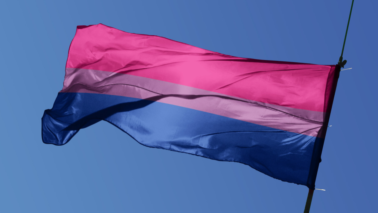 A shot of the bisexual flag blowing in the wind, with a blue sky as a backdrop.