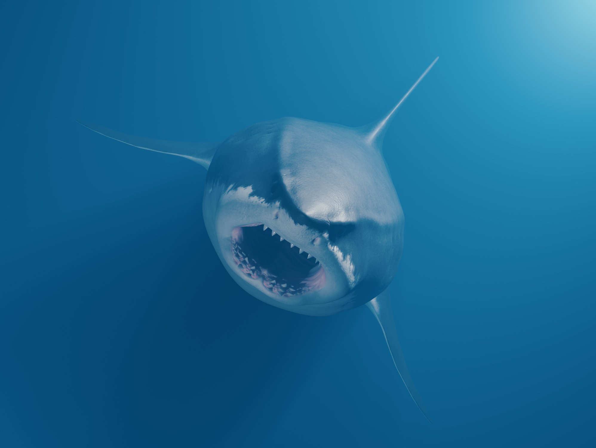 a shark swimming up from the ocean depths