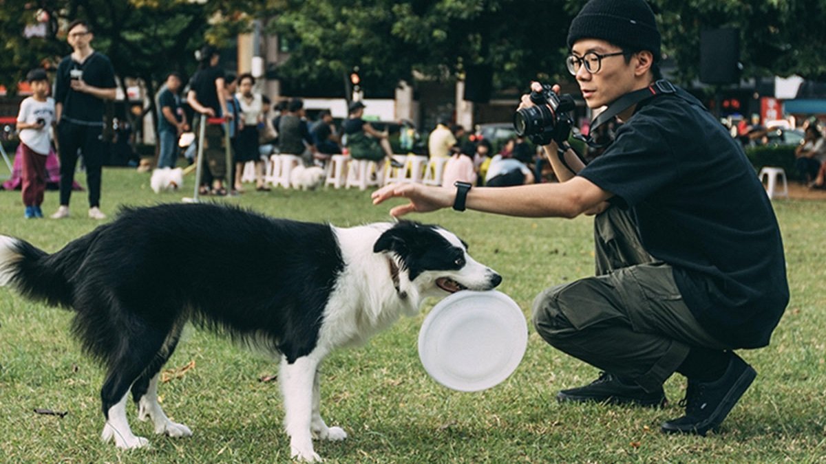 Dog bringing a frisbee to its owner.