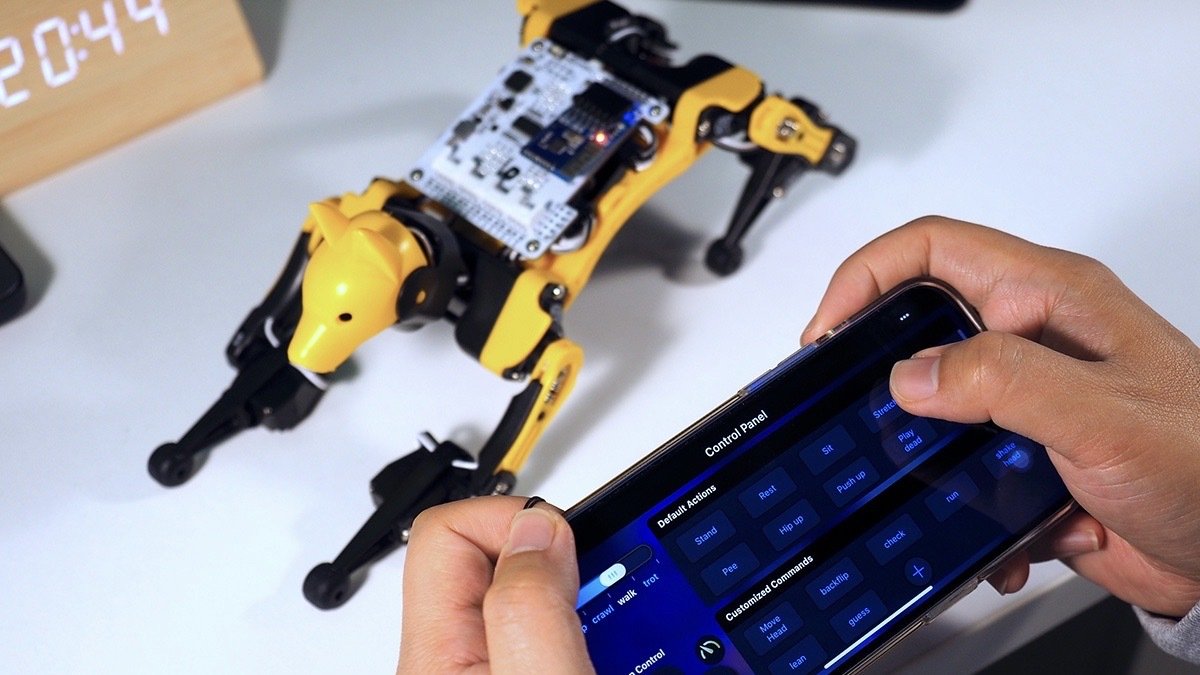 Person playing with Petoi Bittle: Palm-Sized Robot Dog.