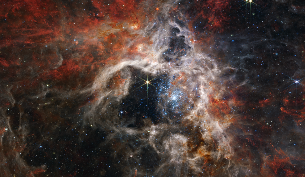 the Tarantula Nebula
