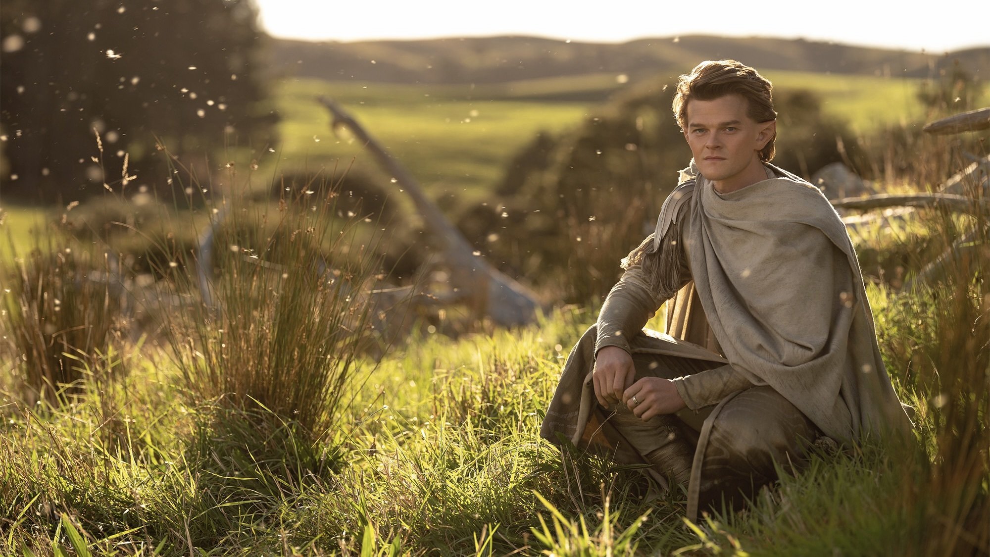 An elf cloaked in white sits in a field.