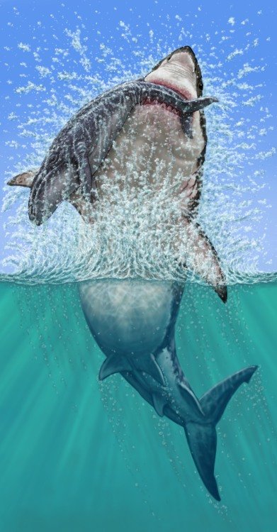 a megalodon attacking a whale