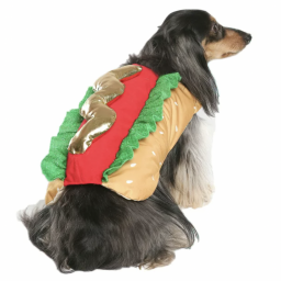 Small dog wearing hot dog costume