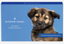 wisdom panel essential dna kit box