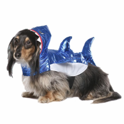 Small dog wearing shark costume