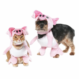 Cat and dog dressed in pig costume
