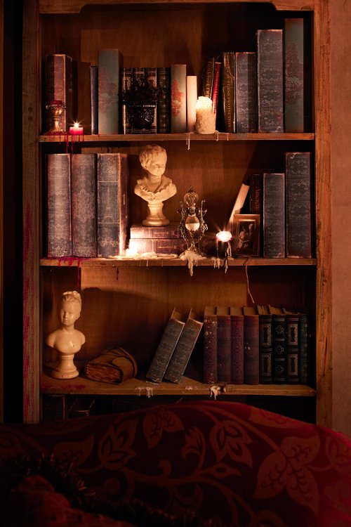 A bookshelf with old spellbooks.