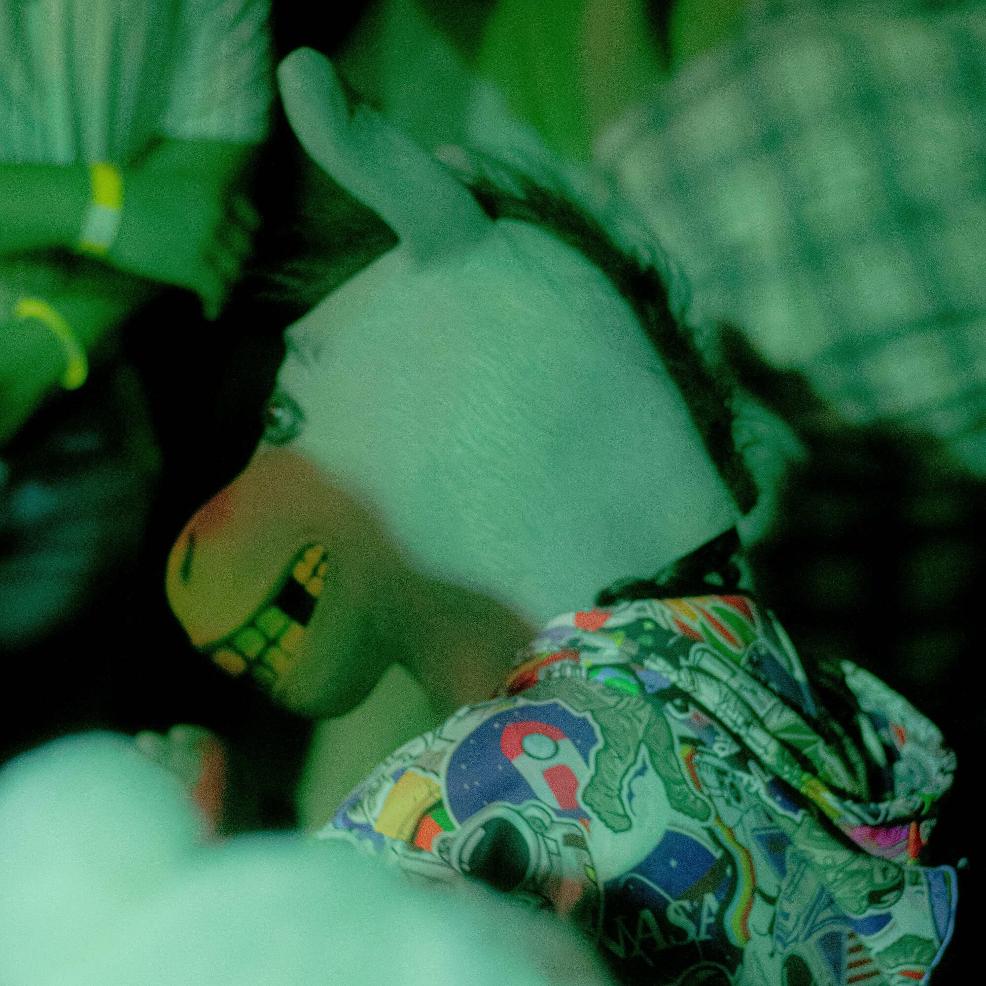 Person in donkey mask