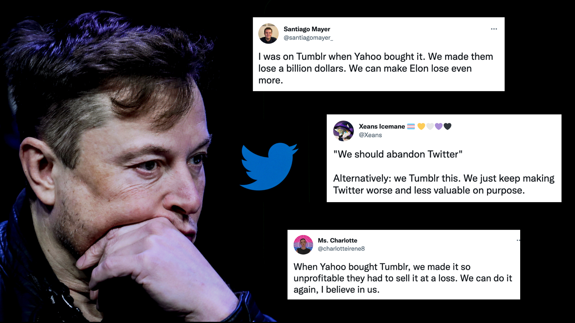 A photo of a haggard-looking Musk with his chin resting in his hand, against a black background. Three tweets from this article have been pasted next to him, along with the Twitter logo.