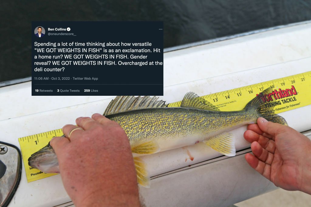 fish being measured with screenshot of tweet about controversy in fishing tournament