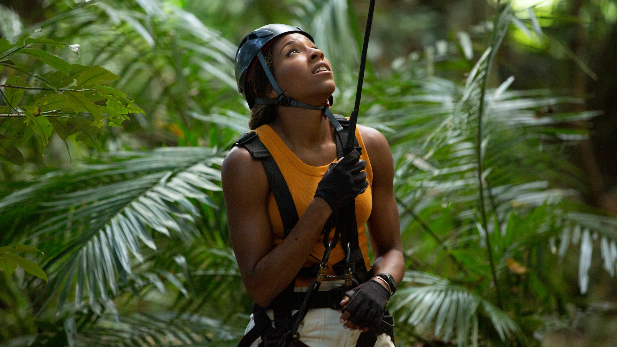 In a rainforest, a woman wearing climbing gear holds a rope and looks up.
