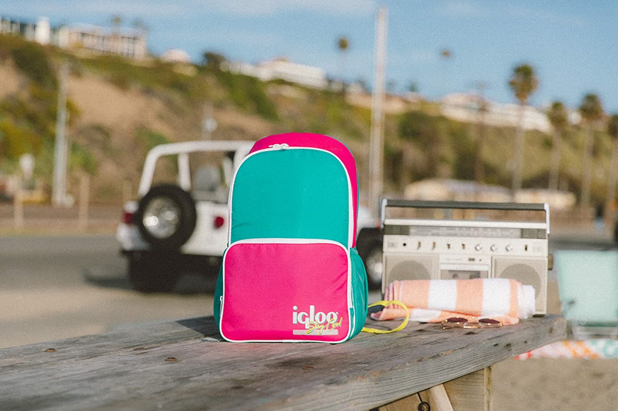 Igloo Retro Backpack on a bench.