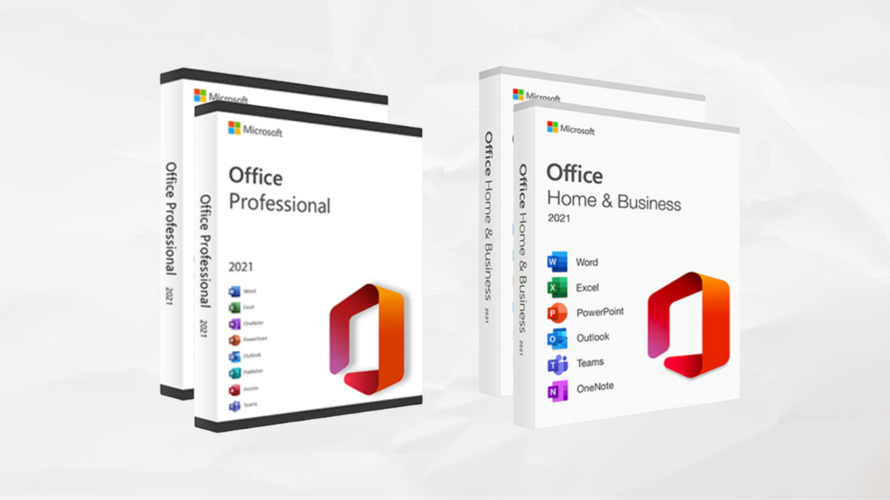 Microsoft Office Professional boxes