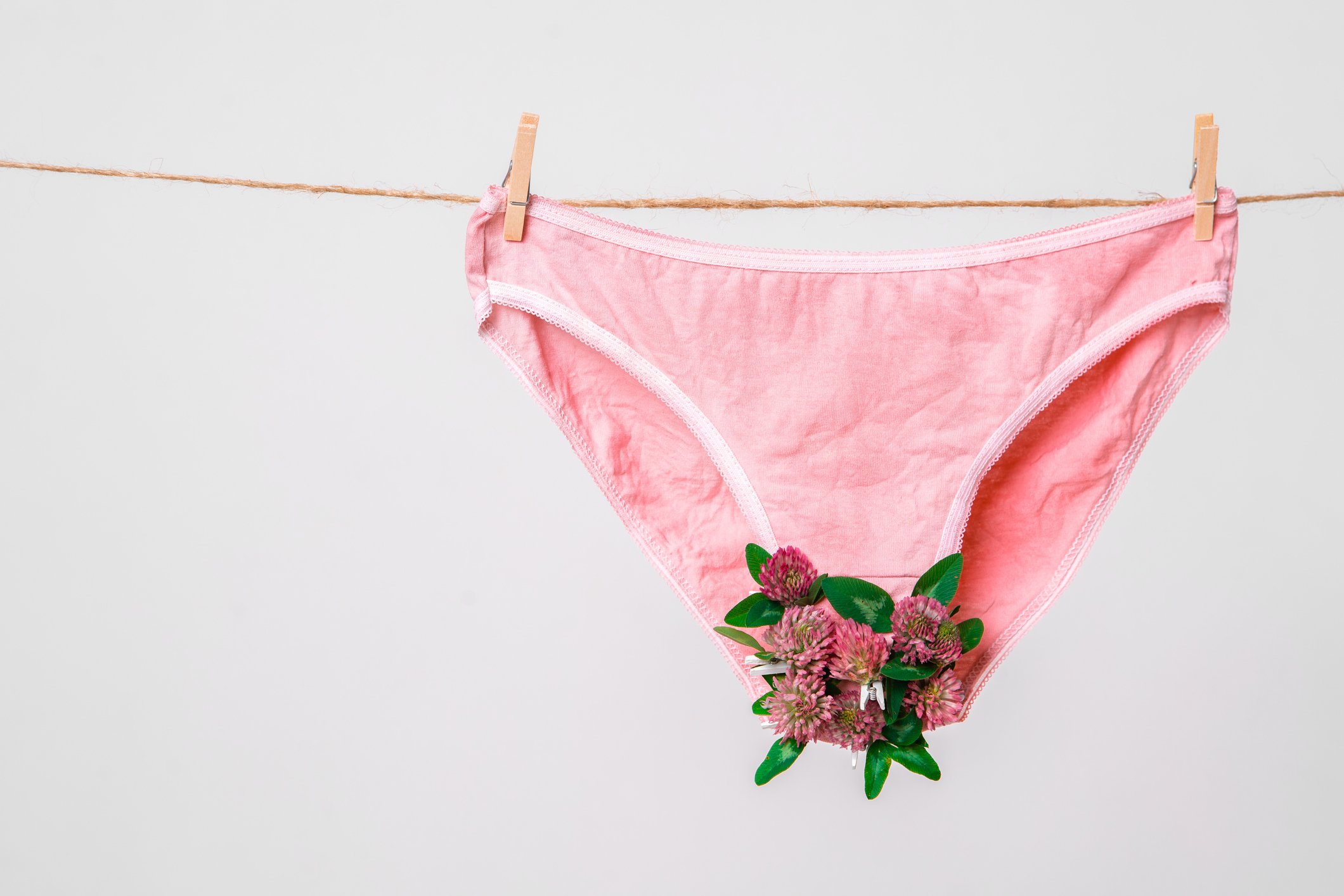 a pair of pink underwear with flowers attached to the crotch strung on a clothes line