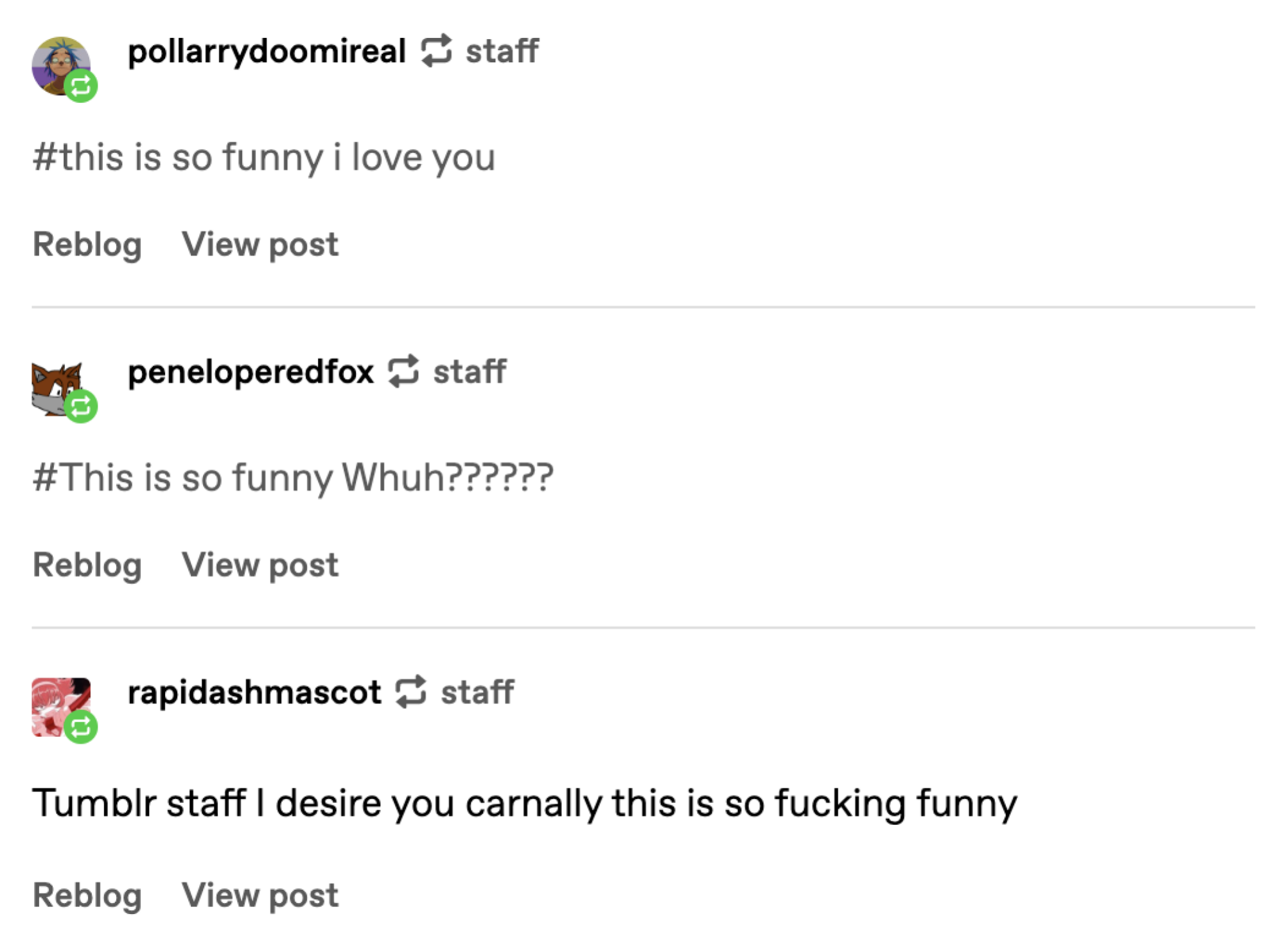 Comments underneath Tumblr's staff post.