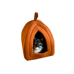 Cat and Dog Bed with Removable Foam Cushion