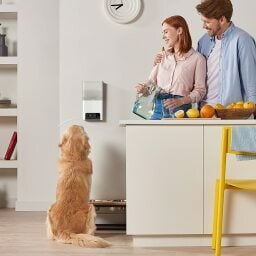 man, woman, and dog stand around a Petcube Bites 2 Lite