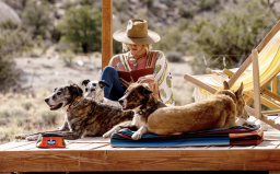 pair of dogs sit on a platform in front of a woman with a hat