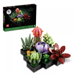 LEGO succulents and box