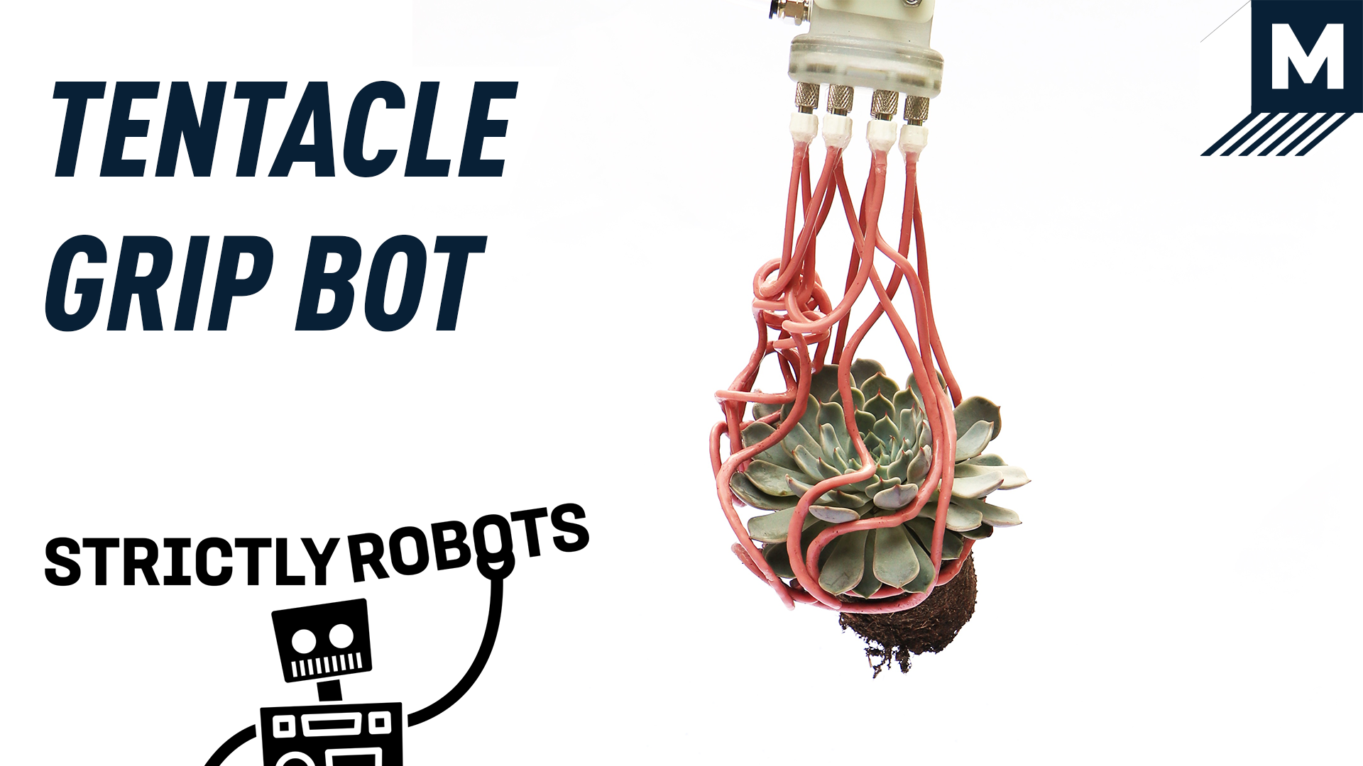 tentacle grip bot