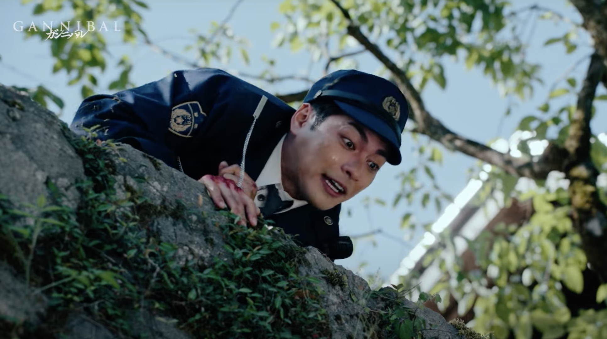 A man peers over a tree.
