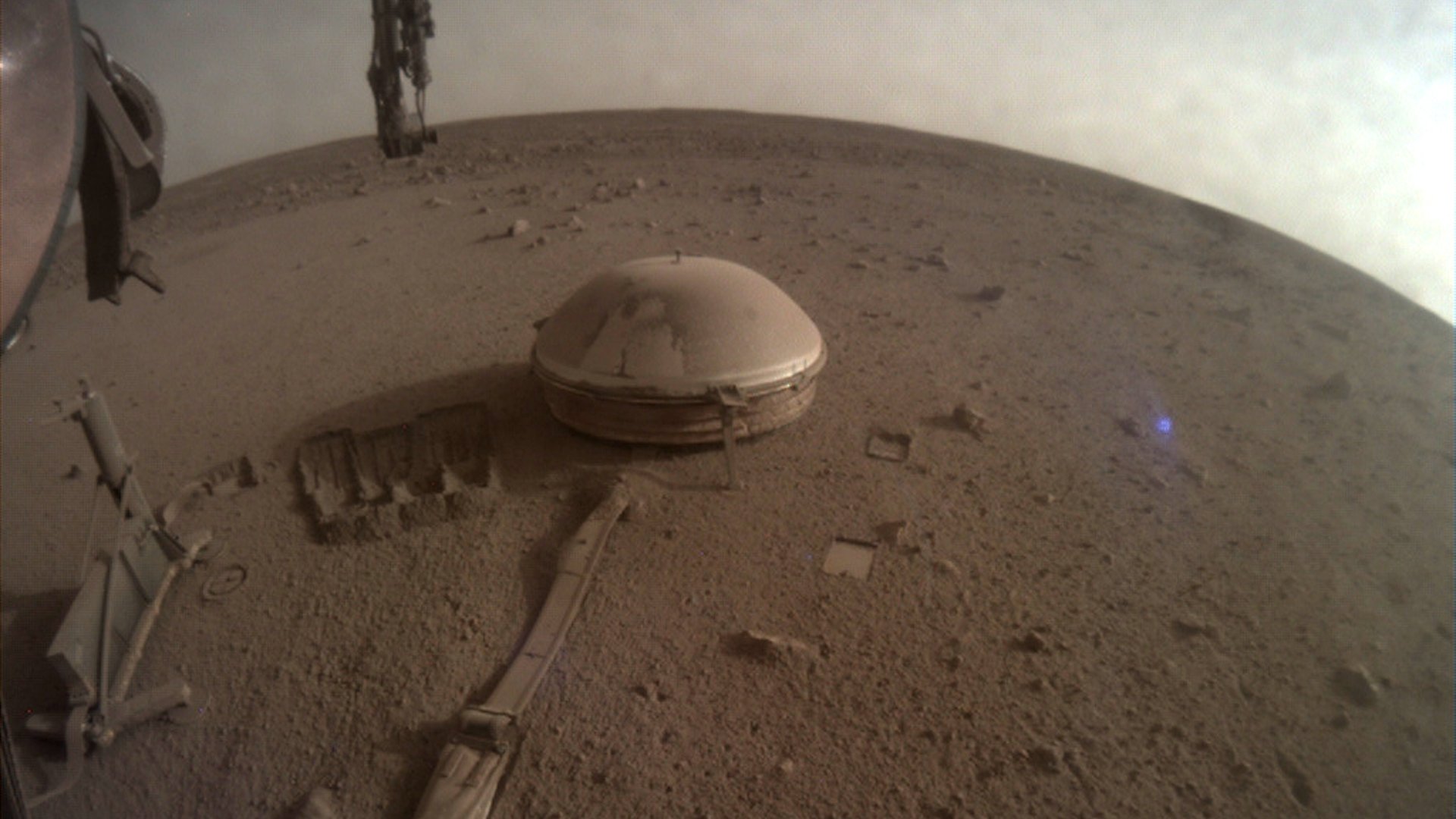 An image of Mars' surface taken by the InSight lander.