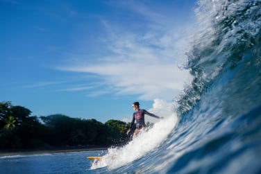 Author surfing